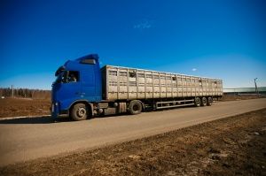 Полуприцепы ТОНАР для транспортировки КРС
